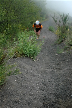 Vesuvio SkyMarathon 7 maggio 2017 - foto 122