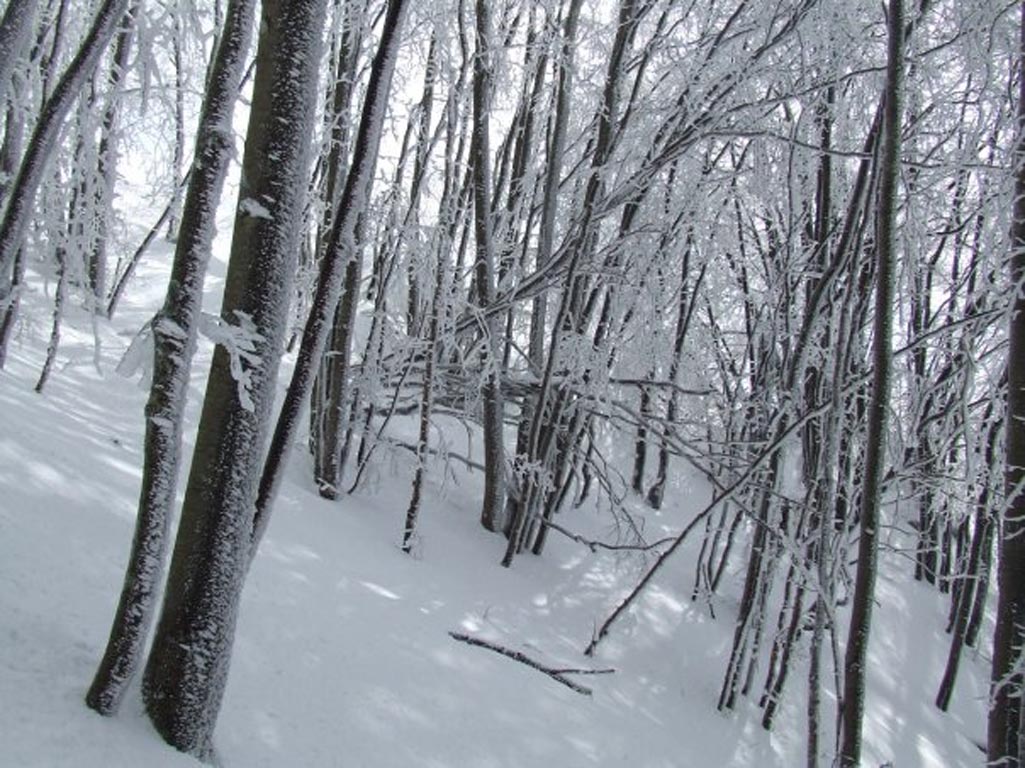 Escursione a Cima San MICHELE "innevato" (SA)