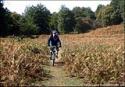 Monti Lattari (Costiera Amalfitana) con i Carbonari bikers - foto 126