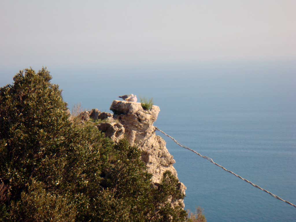 Torre dello Ziro (pontone) e Valle delle Ferriere (Amalfi) con Carnine